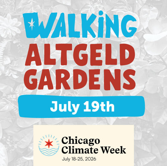 Altgeld Gardens Workshop